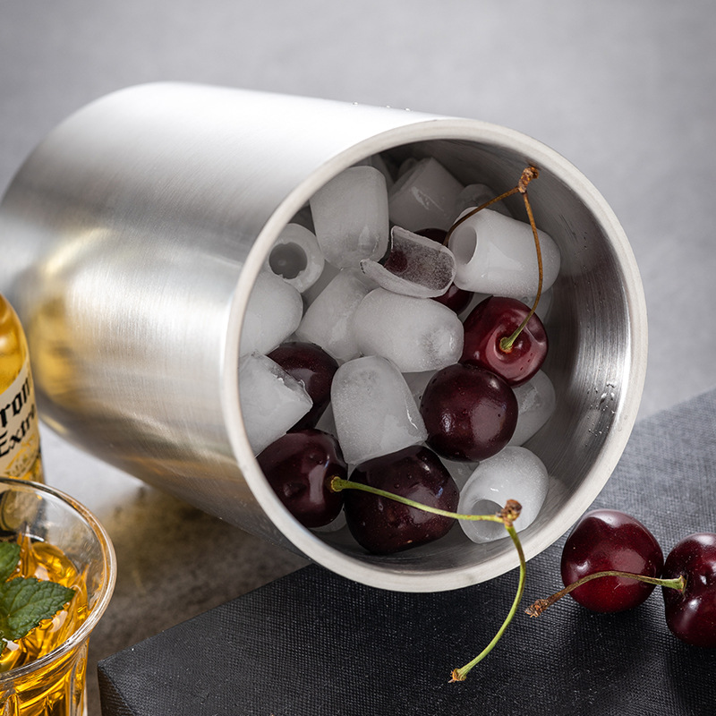 Stainless Steel Double Wall Wi - Wine Bottle Size review and price